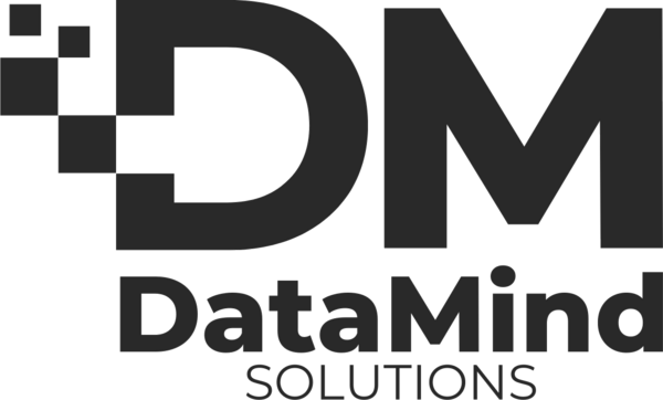 DataMind Solutions